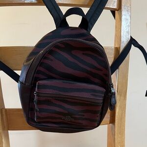 Coach Mini Backpack in Burgundy and Black Zebra Print